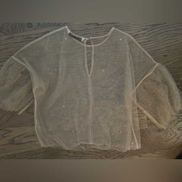 Zara Collectio Tulle with Rhinestones Top - Picture 3 of 4